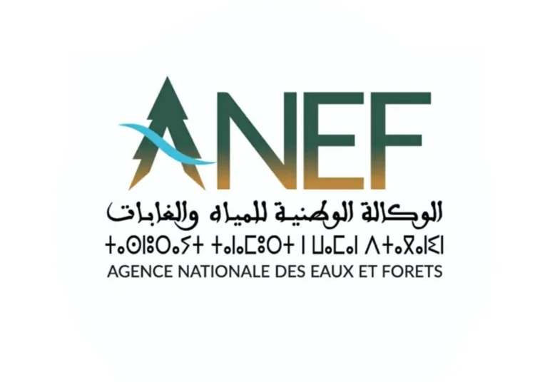 الوكالة الوطنية للمياه والغابات: مباراة توظيف 20 مساعد تقني من الدرجة الثانية؛ آخر أجل هو 18 نونبر 2025